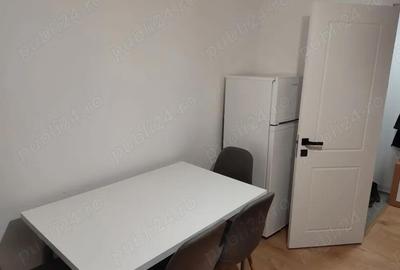 Apartament cu 2 camere decomandat, mobilat în George Enescu - 6