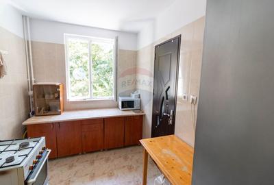 Apartament cu 4 camere de vanzare in zona Drumul Taberei - 6