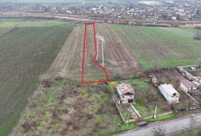 Teren de 7630 mp, în Frumușani - 4