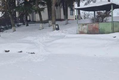 Imobil, cabana cu lac - 1