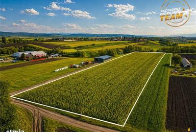 Spațiu comercial, în Dobolii de Jos - 5