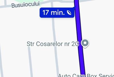 Spațiu comercial, în Costi