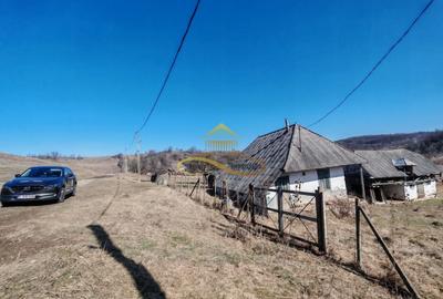 Teren agricol intravilan de 6625 mp, în Nord-Vest - 3