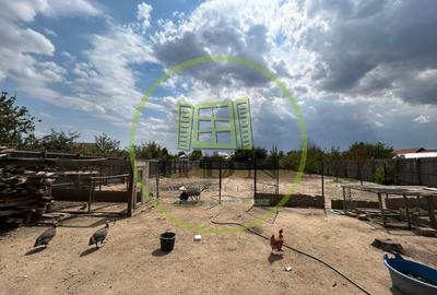 Casa Parter, 1432 MP teren,140 utili , Isalnita - 12