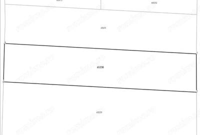 Teren intravilan 1.575 mp - Brane?ti, Sat Islaz, Str. Caragea Gheorghe - 5