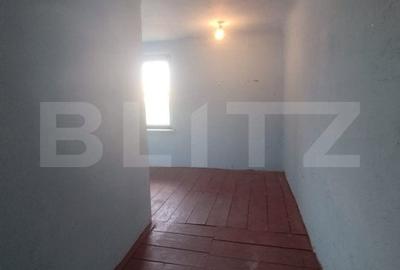 Casa istorica, 2 apartamnte, curte proprie- posibilitati multiple, zona Balcescu - 17