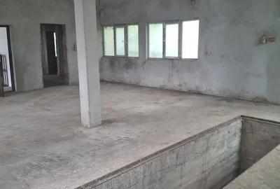 Casă cu 6 camere cu Teren 8000 Mp în Iratoșu - 2