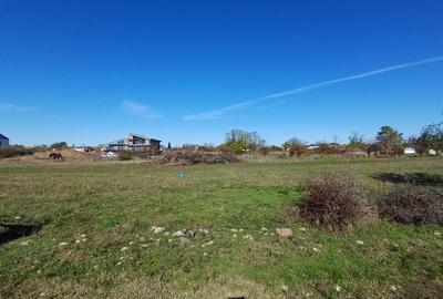 Teren Construcții intravilan de 1225 mp, în Tamași - 13