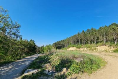 Teren intravilan de vanzare , zona Sf Ion, Padurea Faget - 6