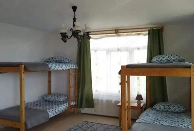 Spațiu comercial, de 420 mp, în Strâmba - 6