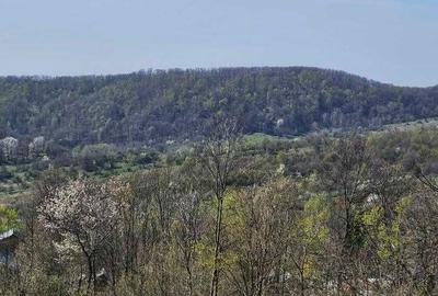 Spațiu comercial, în Buștenari - 1