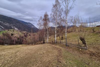 Teren cu energie speciala, Pestera/ 13570mp extravilan/Comision 0 % - 6