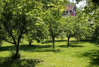 VANZARE DOMENIU CU DESCHIDERE  LA LACUL SNAGOV - 3