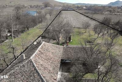 Teren de 4621 mp, în Cerna - 5