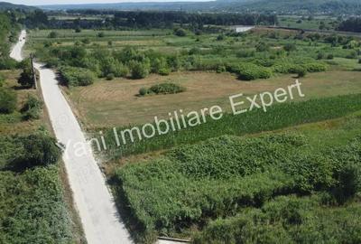 Teren de vanzare in comuna Baicule?ti, Jude? Arge?, in apropiere de fabrica Elemaster. - 7