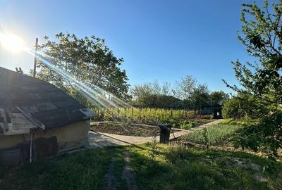 Casă individuală cu 3 camere cu Teren 1167 Mp în Băneasa - 8