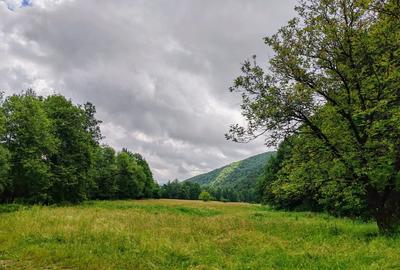 2,64 Ha TEREN SUPERB pe malul raului Crisul Repede padure parau NEGRENI - CLUJ - 13