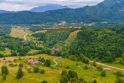 Teren Parcul National Bucegi/Str Glajarie Rau Mare/Panice... - 7