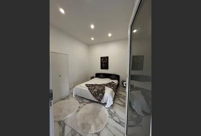 Apartament de lux în inima Aradului - 3