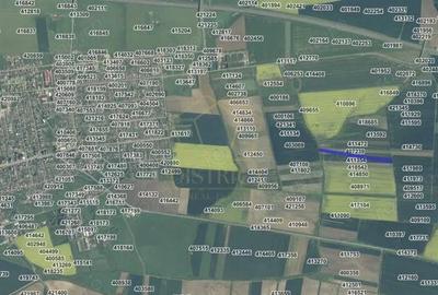 Teren de 10750 mp, în Vest - 2