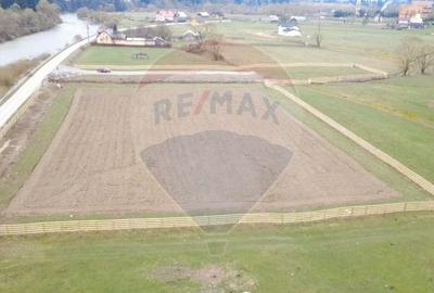 Teren Construcții intravilan de 7834 mp, în Dorna-Arini - 8