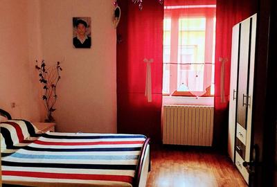 Apartament cu 2 camere decomandat în Radna - 4