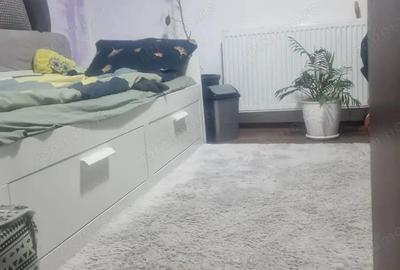 CI563 Barnutiu-Lugojului,3 camere,centrala - 20