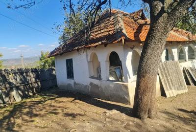 Casa si pamant agricol de vanzare
