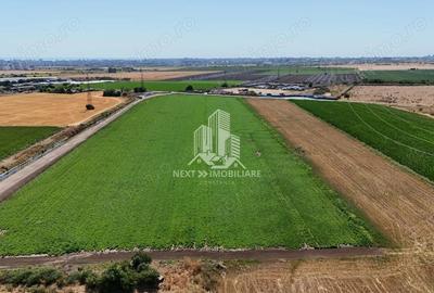 Teren extravilan 28.405mp Poiana - 4