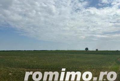 Cota 1/4 teren extravilan Gheraseni, jud. Buzau - R2070447 - 1