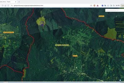 Teren agricol extravilan de 270000 mp, în Bertea - 7
