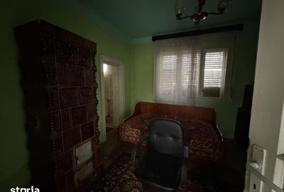 Casă cu 4 camere cu Teren 3767 Mp în Borș - 2