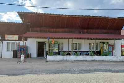 Casa, teren intravilan 3025 mp, sat Ciuperceni, pret excelent - 3