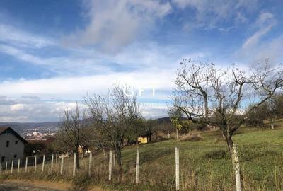 Teren intravilan parcelabil, cartier RAAL , 38 ari - 1