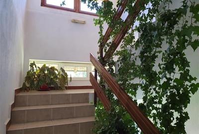 Locatie cu patru anotimpuri intr- o zi, incadrata de 2.350 teren, Bran - Fundata - 7