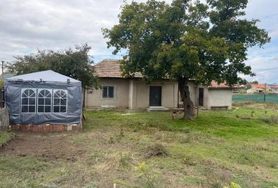 De Vânzare: Casă Bătrânească cu Teren Generos în Cogealac, Constanța - 1