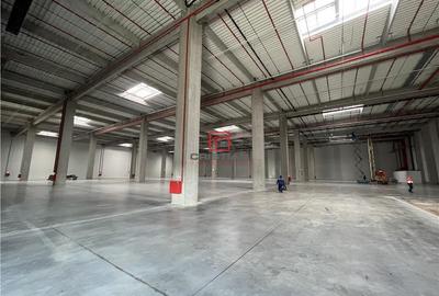 Spațiu comercial, de 10,000 mp, în Ștefăneștii de Jos - 6