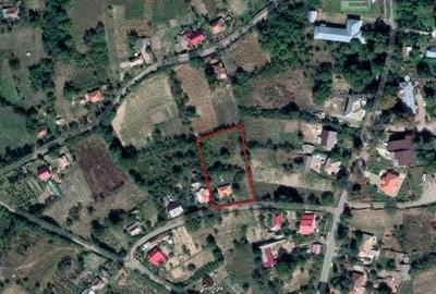 Teren de 2377 mp, în Dobrovăț - 1