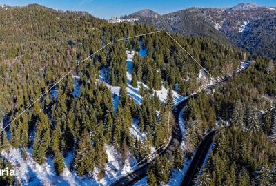 Teren de 15000 mp, în Central - 2