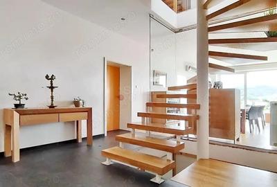 Casă cu 9 camere cu Teren 1600 Mp în Dealul Cetății - 8