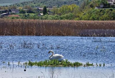 Teren cu deschidere la lac de vanzare in localitatea Somova Tulcea - 9
