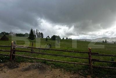 Teren de 20000 mp, în Obcini - 1