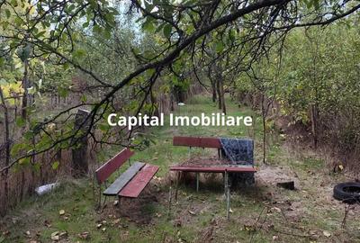 Casa Baicoi 120mp. Valea Stelii - 12