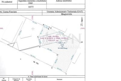 REL4001048 Teren Magurele - 16573 mp - Acces Dublu - Proximitate A0 - 6
