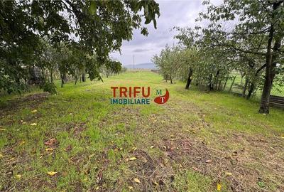 Casă de vânzare 1367 mp teren în Cricău - 12