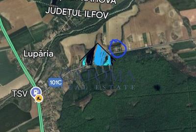 Teren 1.666 mp, construibil, cu acces direct din DN1 – langa padurea Snagov - 6