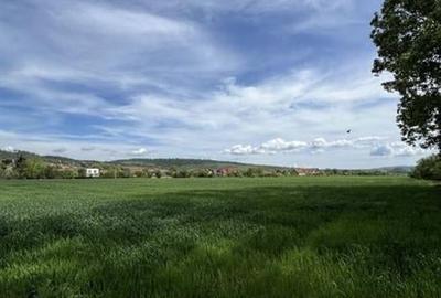 Cu PUZ, Tohanu Nou, Brasov - 1