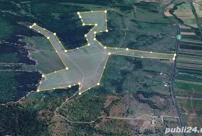 Teren de 480000 mp, în Prunișor