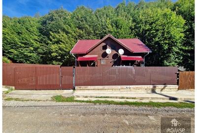 Casa de vacanta!!! Valea Bozom- Apata - 32