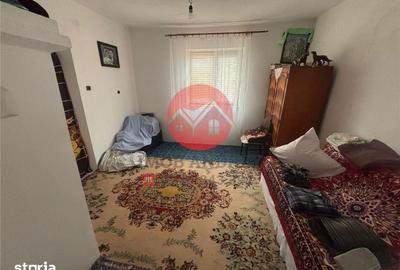 Casă cu 4 camere cu Teren 4489 Mp în Murighiol - 5
